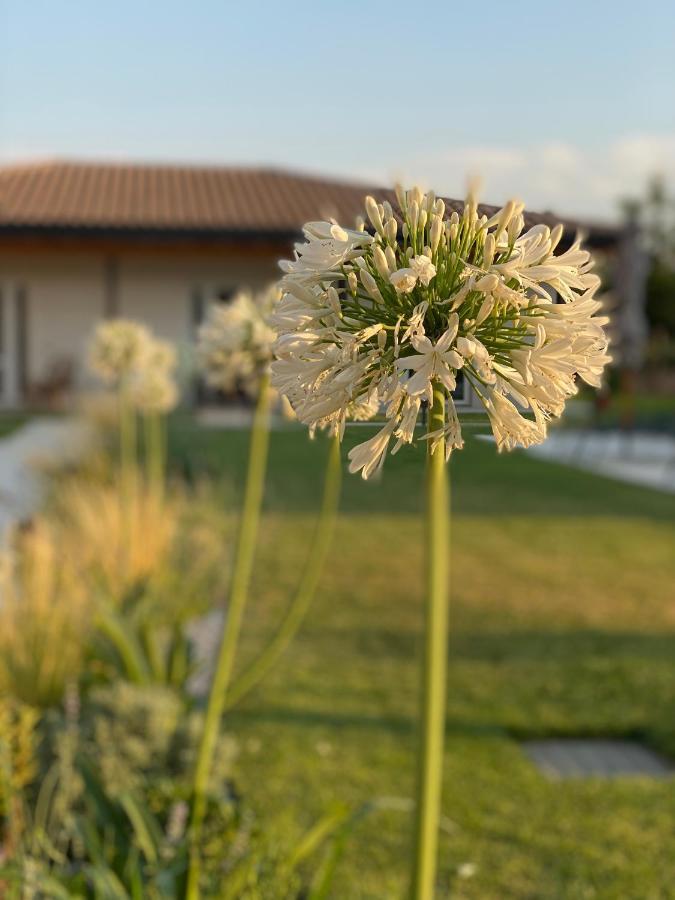 Agriturismo Pepe Rosa Rivoli Veronese ภายนอก รูปภาพ